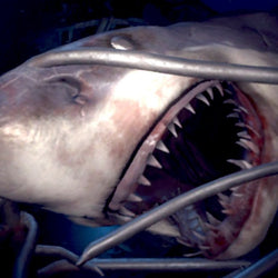 Videojuego - Playstation VR Worlds - PS4